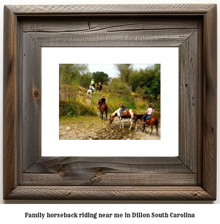 family horseback riding near me in Dillon, South Carolina